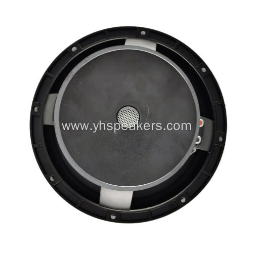 Hot Selling 10" Professional Audio Video Speaker